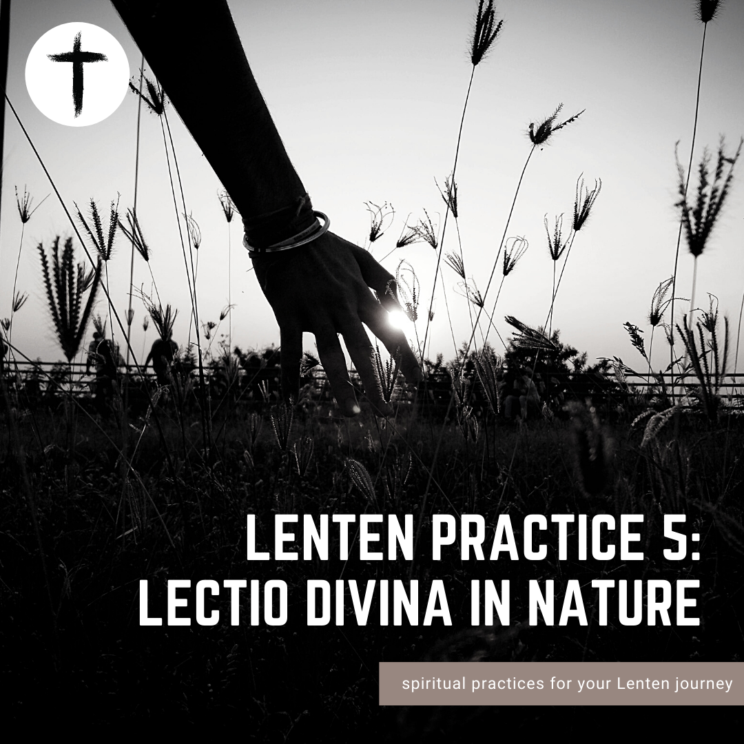 Lenten Practice #5: Lectio Divina In Nature